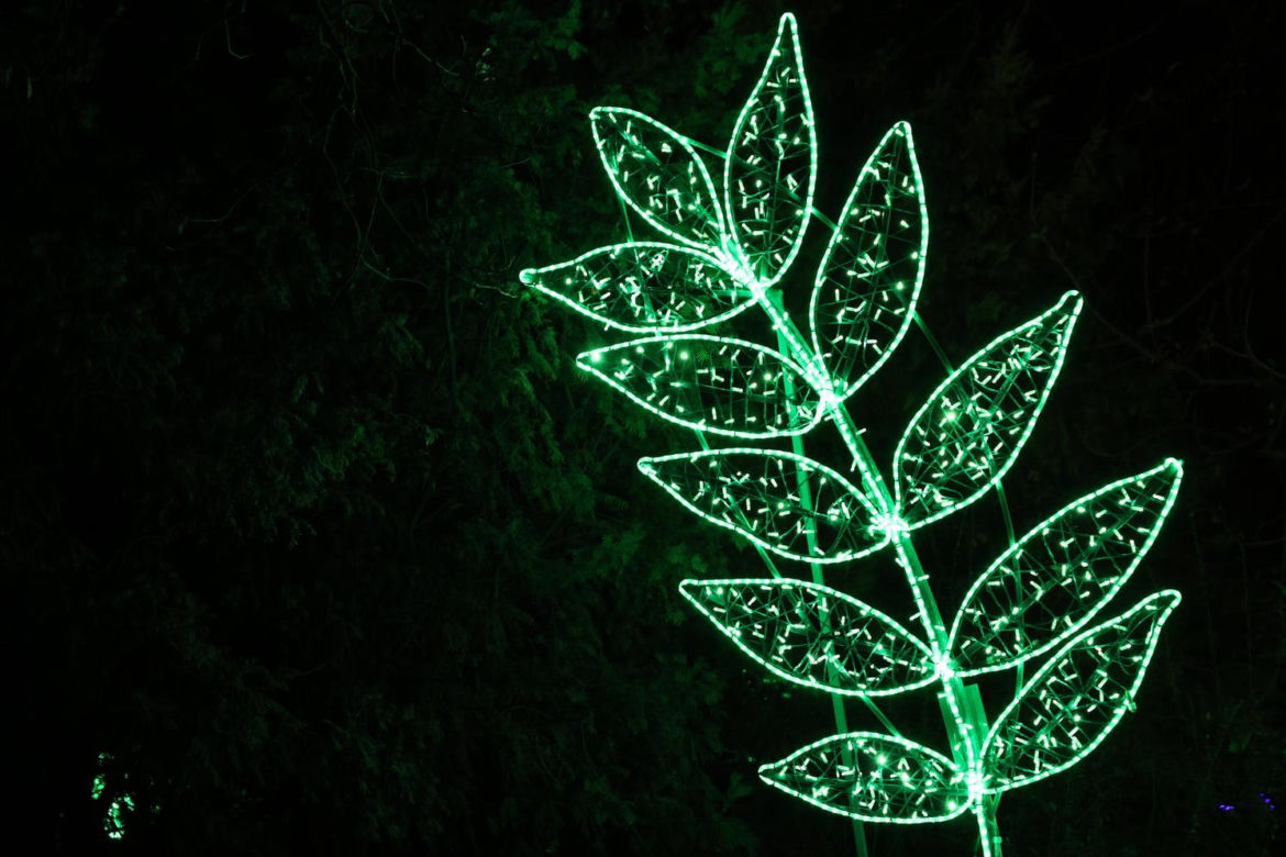 Lumina Park 2023 w Lublinie