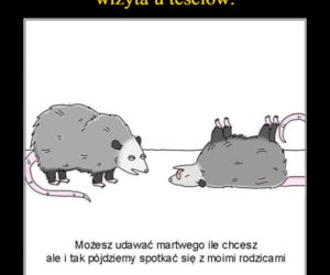 Memy o teściowej