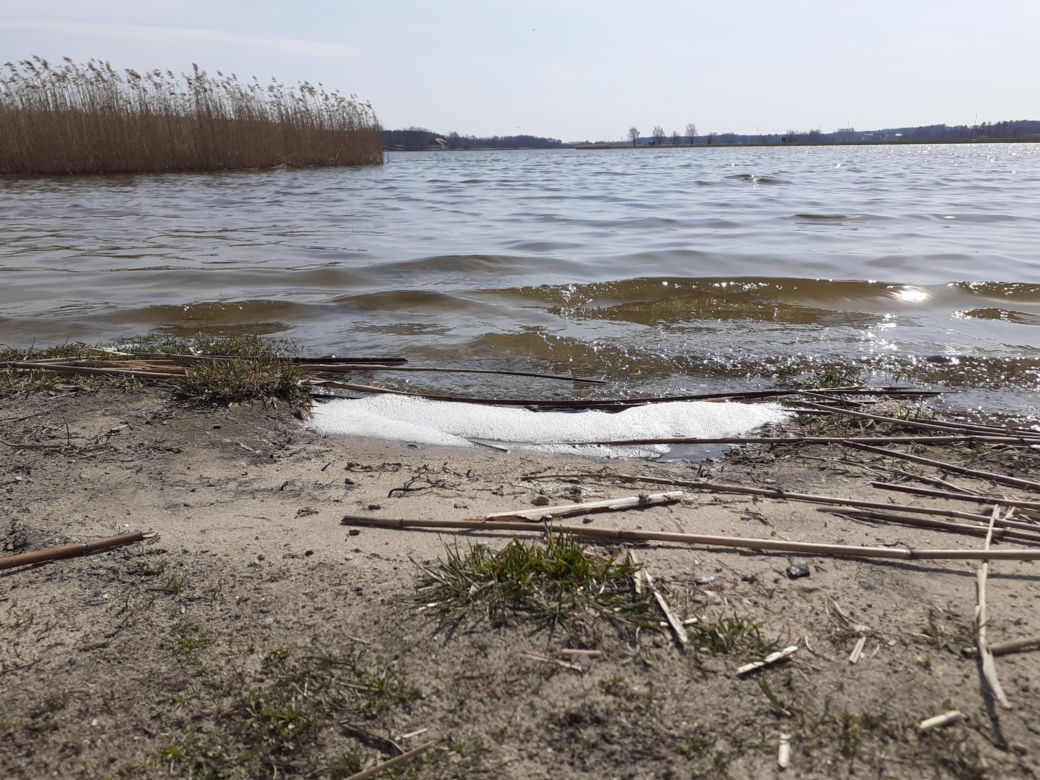 Pierwsza akcja sprzątania brzegów rzeki Muchawki i siedleckiego zalewu w ramach Operacji Czysta Rzeka 2021