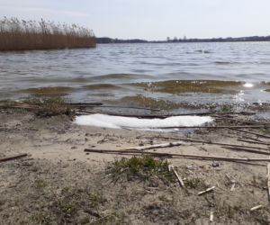 Pierwsza akcja sprzątania brzegów rzeki Muchawki i siedleckiego zalewu w ramach Operacji Czysta Rzeka 2021