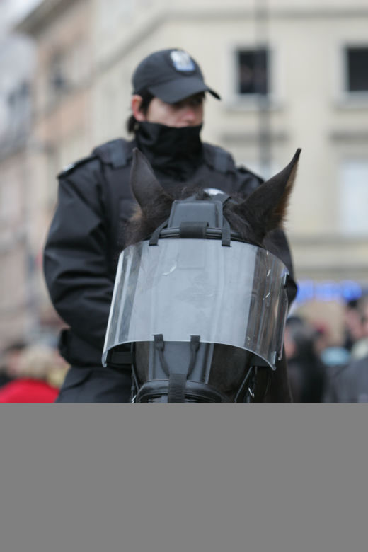 POLICJA KONNA