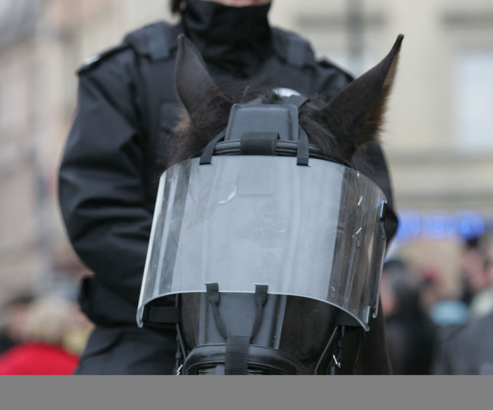 POLICJA KONNA