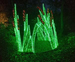 Park Iluminacji w Poznaniu