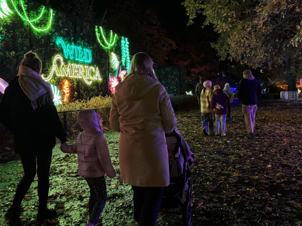 Garden of Lights we Wrocławiu