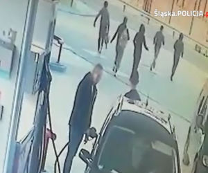 Szokujące odkrycie w Katowicach! Imigranci WYSKOCZYLI z przyczepy z ziemniakami! [ZDJĘCIA]
