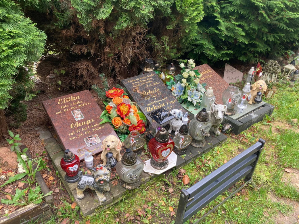 Cmentarz dla zwierząt przy Malowniczej