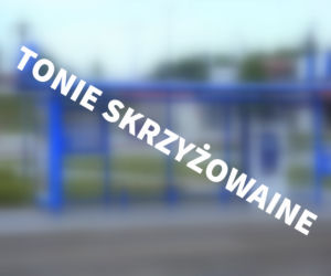 Skrzyżowanie Tonie