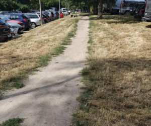 Wrocław jak pustynia! Przerażające widoki w parkach i na osiedlach