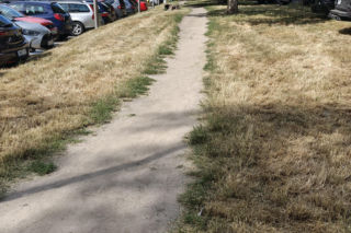 Wrocław jak pustynia! Przerażające widoki w parkach i na osiedlach