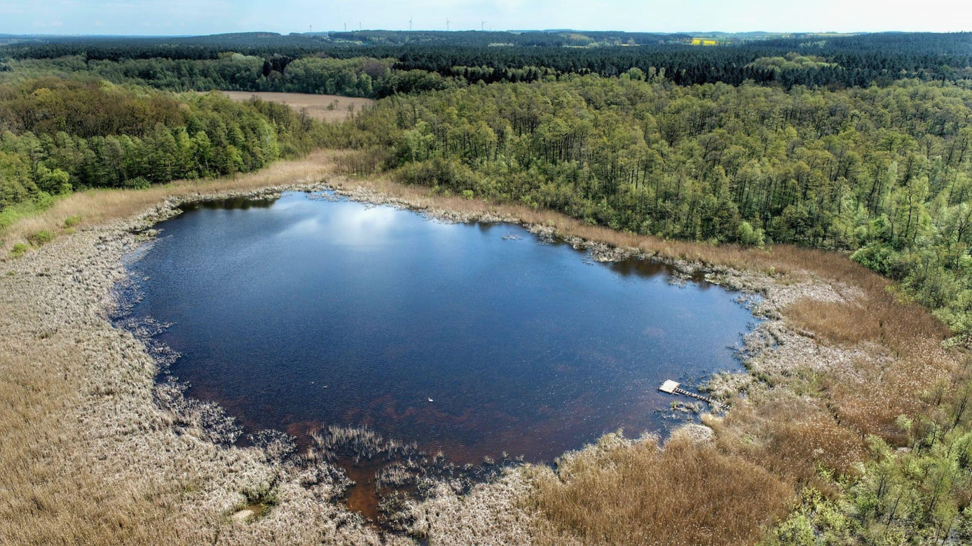 Jezioro Czarne w Lubuskiem, w gminie Świebodzin