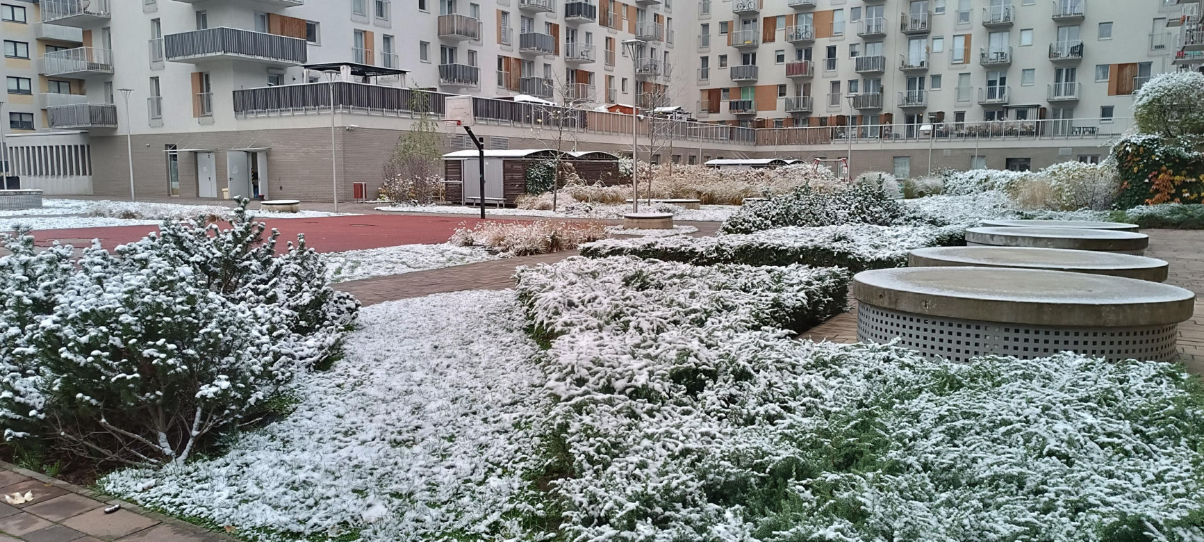 Pierwszy śnieg we Wrocławiu. Czy zima zaskoczyła kierowców? [ZDJĘCIA]