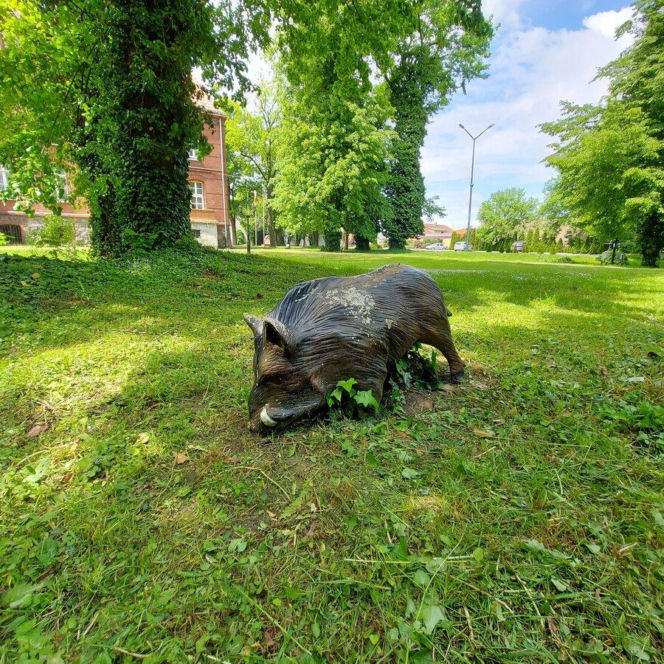 Wijewo - ukryty skarb Wielkopolski, gdzie historia królów spotyka się z błękitem jezior