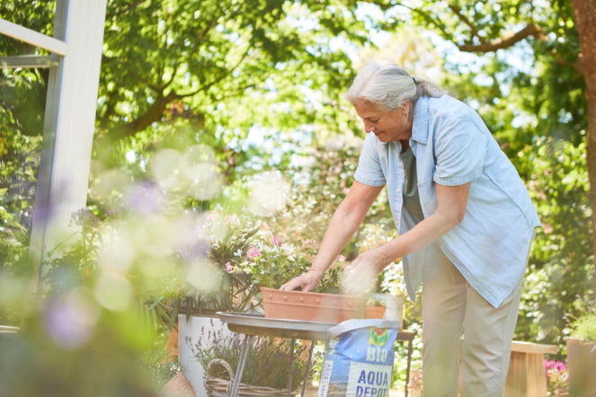 Podłoże do roślin