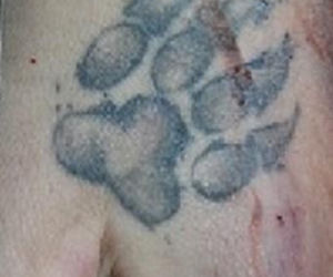 Miłosław. Złodziej samochodu firmy kurierskiej zginął w wypadku. Ruszyła zbiórka na kuriera [ZDJĘCIA]