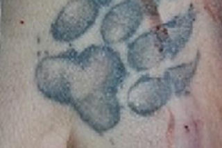 Miłosław. Złodziej samochodu firmy kurierskiej zginął w wypadku. Ruszyła zbiórka na kuriera [ZDJĘCIA]