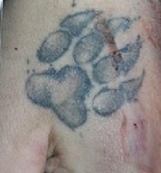 Miłosław. Złodziej samochodu firmy kurierskiej zginął w wypadku. Ruszyła zbiórka na kuriera [ZDJĘCIA]