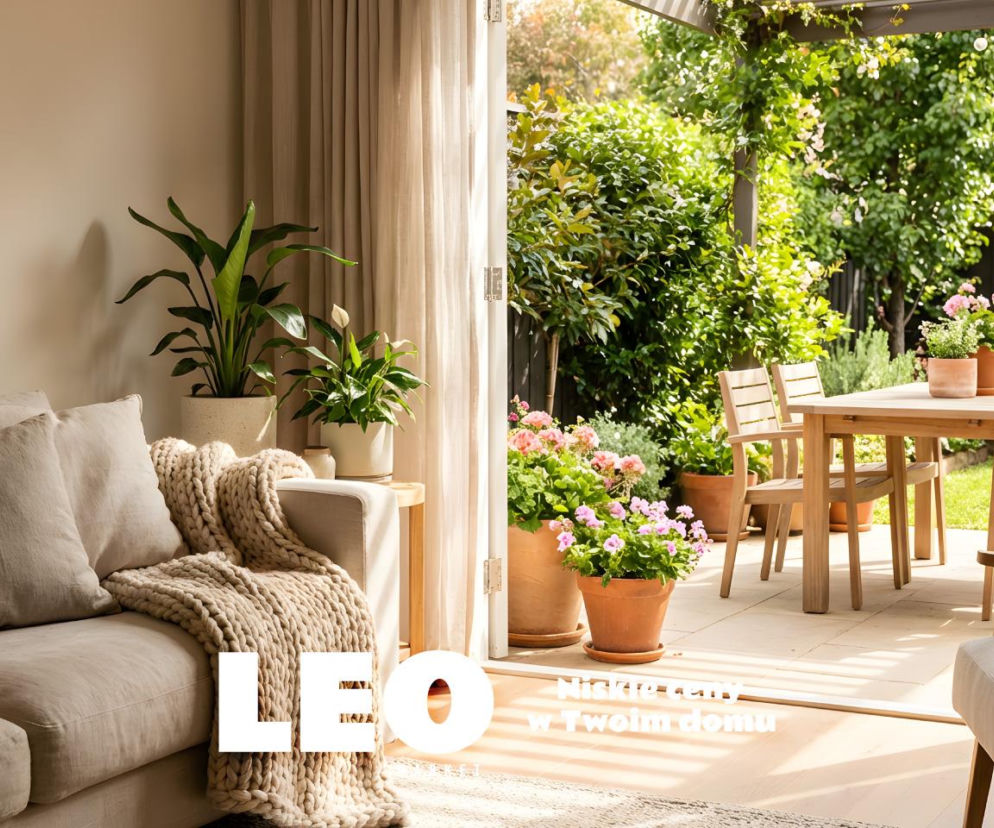 Nowy sklep wielobranżowy hitem internetu! Zrobisz w nim zakupy na Święta taniej niż myślisz?