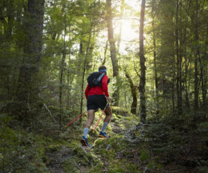 Garmin Enduro 4