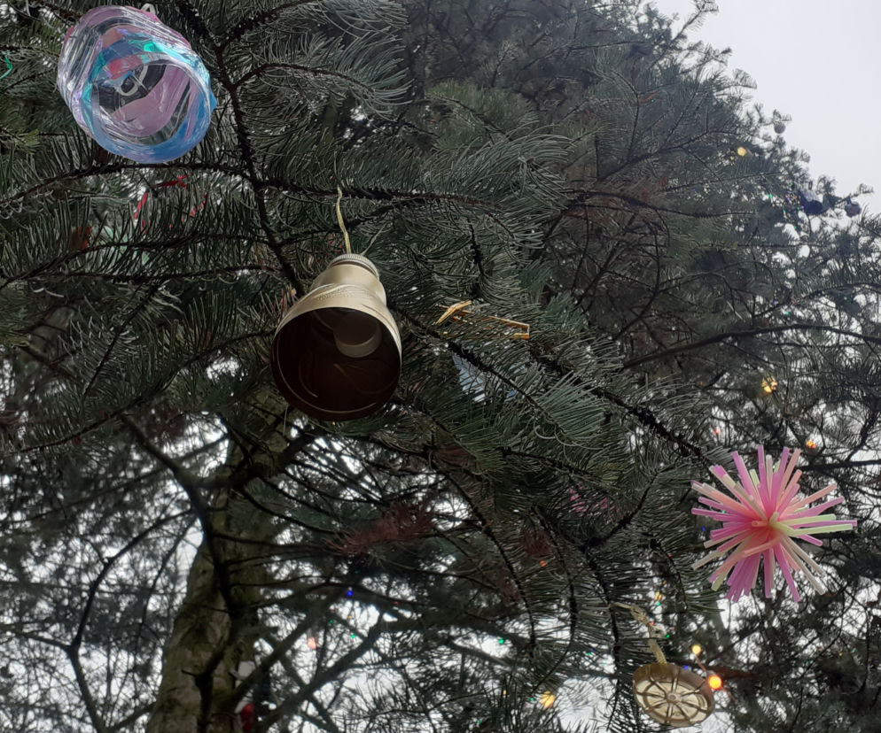 Choinka na LSM jest już ozdobiona. Dzieci przygotowały recyklingowe ozdoby [GALERIA, WIDEO]