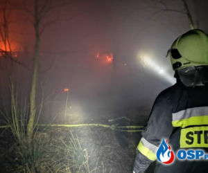 Obrazy jak z HORRORU! Drewniany budynek doszczętnie spłonął 