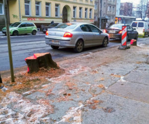 Masowa wycinka drzew w alei Wyzwolenia 