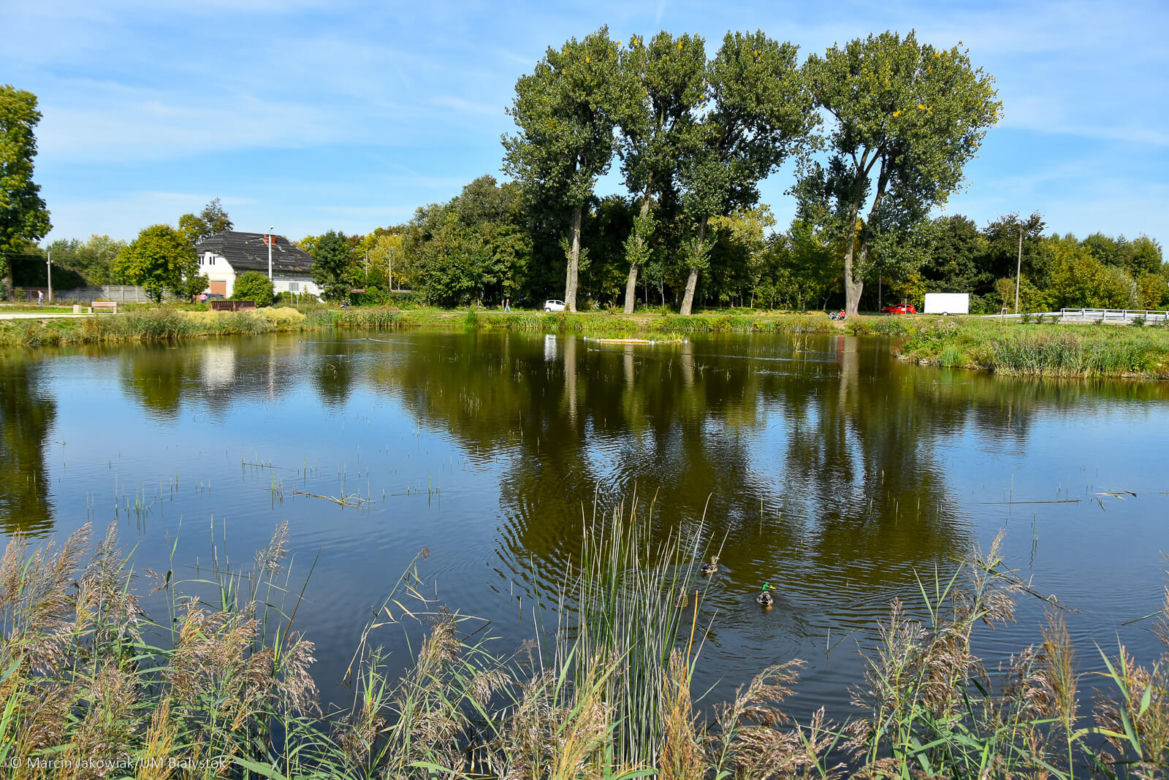 Miasto z Klimatem. Białystok zwyciężył w ogólnopolskim konkursie [ZDJECIA]