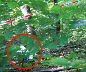 Makabra na Młocinach