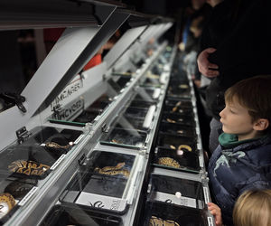 Egzotyczny świat zawitał do Bydgoszczy! Pająki i węże były na wyciągnięcie ręki