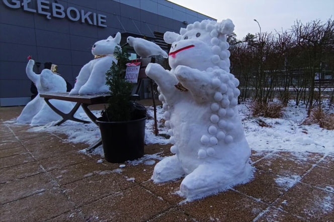 Rzeźby ze śniegu na pętli Głębokie