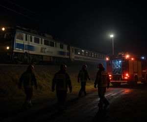 Pociąg PKP Intercity wjechał w stado krów. Jedno zwierzę nie przeżyło