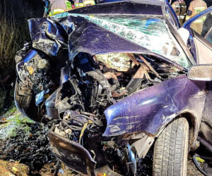 Na zakręcie pojechali prosto, ze sobą wieźli dwa duże psy. Czy któryś z nich ugryzł kierowcę?