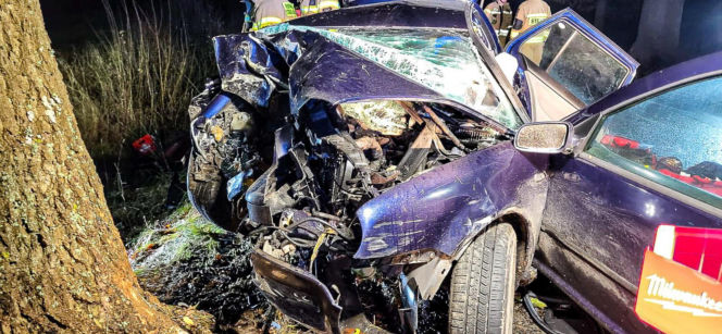 Na zakręcie pojechali prosto, ze sobą wieźli dwa duże psy. Czy któryś z nich ugryzł kierowcę?