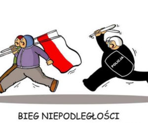 Marsz Niepodległości memy