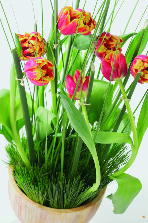 Tulipany