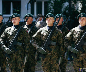 Formowanie 8. Dywizji Piechoty Armii Krajowej. Jakie są postępy i plany MON?