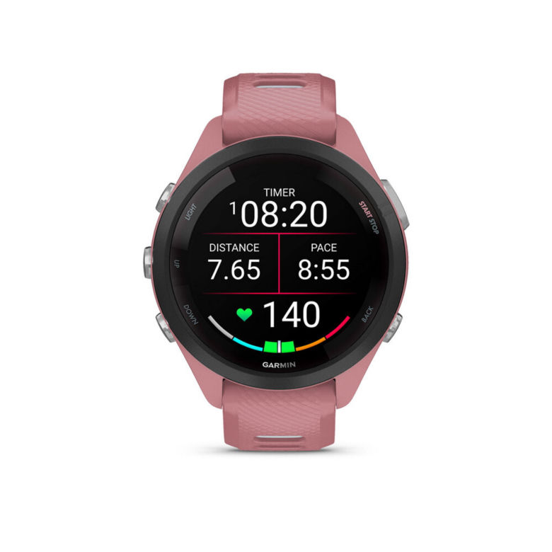 Garmin 265
