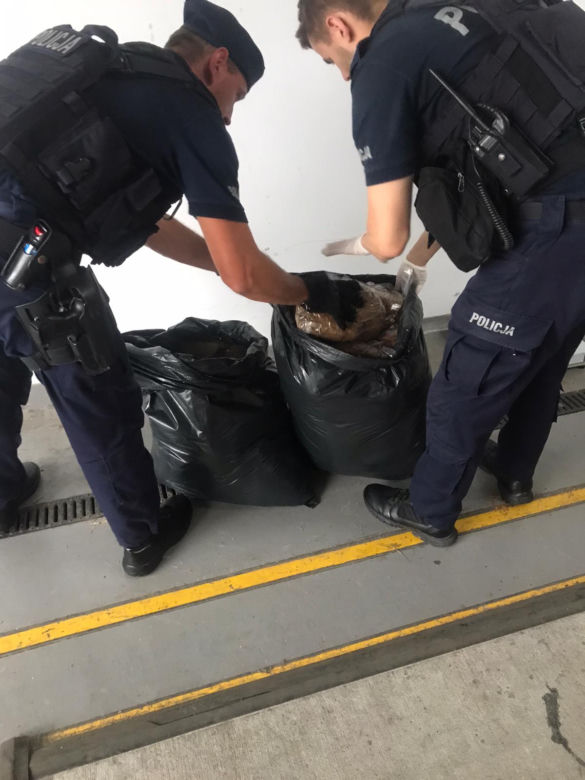 Toruń: Akcja policjantów z Bydgoszczy w naszym mieście. Zatrzymali dwóch mieszkańców Malborka