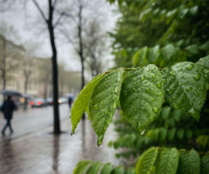 Nie cały weekend w Szczecinie będzie udany. Prognozy wskazują na wyraźną zmianę