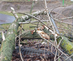 Wichura znów narobiła szkód w Lesznie i powiecie