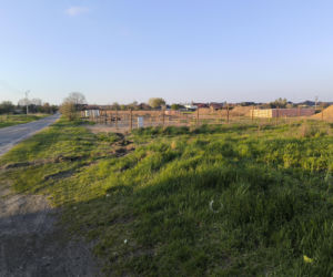 Gronowo szeregowce Antonińska