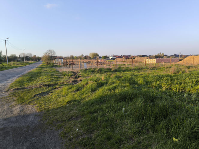 Gronowo szeregowce Antonińska