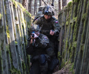 Ocena zmian w Wojsku Polskim. Polacy wystawili armii wysoką notę