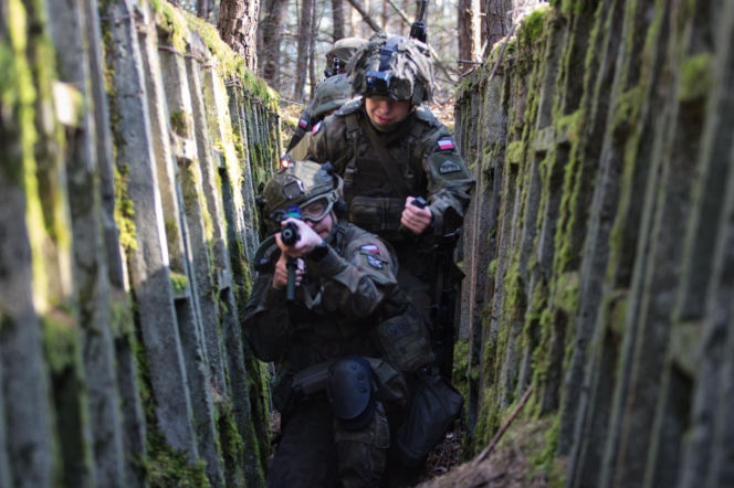 Ocena zmian w Wojsku Polskim. Polacy wystawili armii wysoką notę