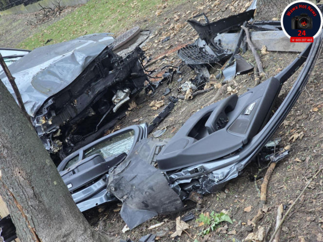 Wjechał na trawnik i uderzył w drzewo. Szokujący powód