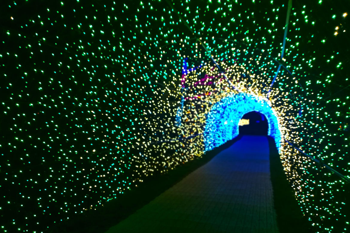 Garden of Lights w Szczecinie