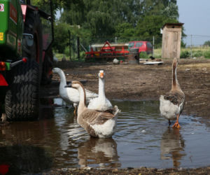 Zobacz, jak mieszkają bohaterowie serialu Rolnicy. Podlasie