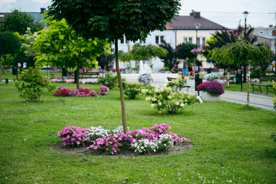 Klimontów 