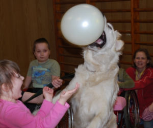 Dogoterapia
