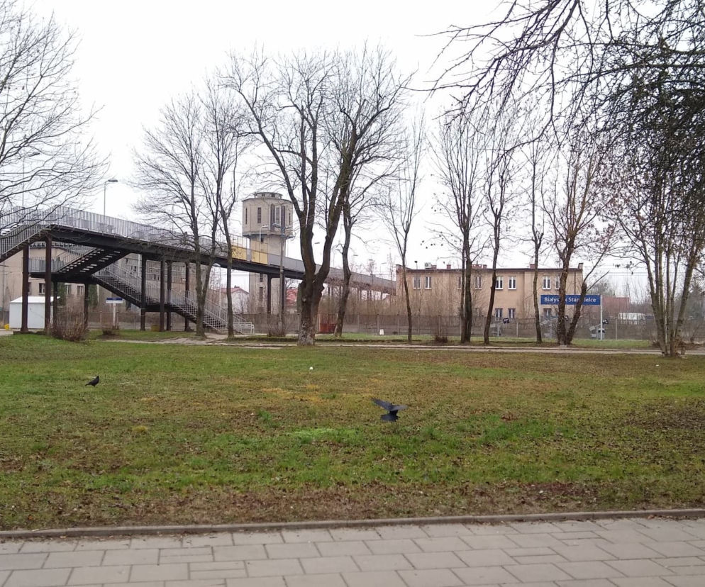 Dym nad Starosielcami. Przyjechała policja. 39-latek trafił na 2 lata do więzienia