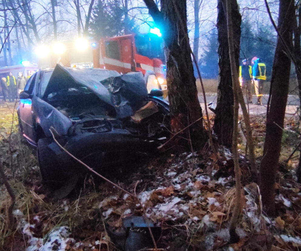 Zjechał z drogi, uderzył w drzewo. Ojciec i jego 5-letni syn w szpitalu